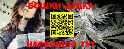 индика Малгобек