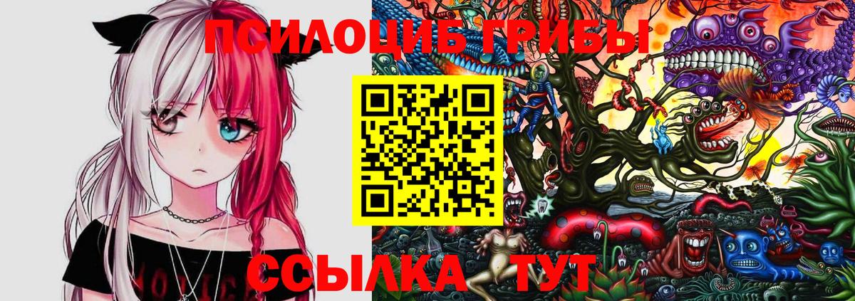 Янаул  как найти закладки  Вход с VPN  Галлюциногенные грибы Psilocybe 
