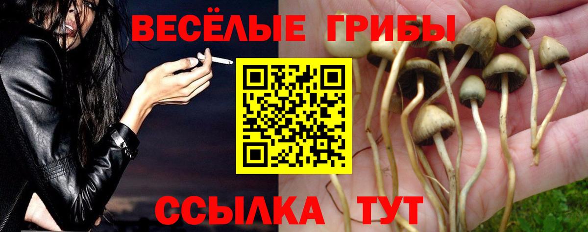 Псилоцибиновые грибы Psilocybine cubensis Янаул